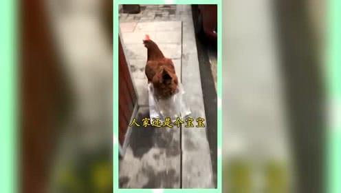 吃瓜群众娱乐版下载